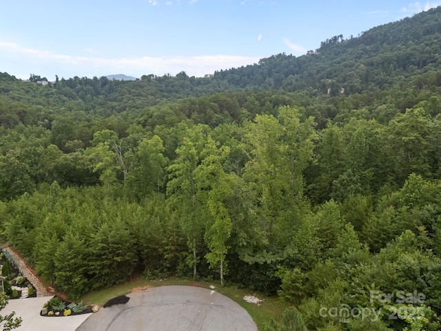 00000 Deer Jump Trl Unit 351, Lake Lure, NC 28746 - photo 4