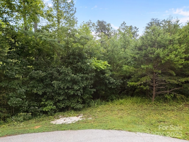 00000 Deer Jump Trl Unit 351, Lake Lure, NC 28746 - photo 5