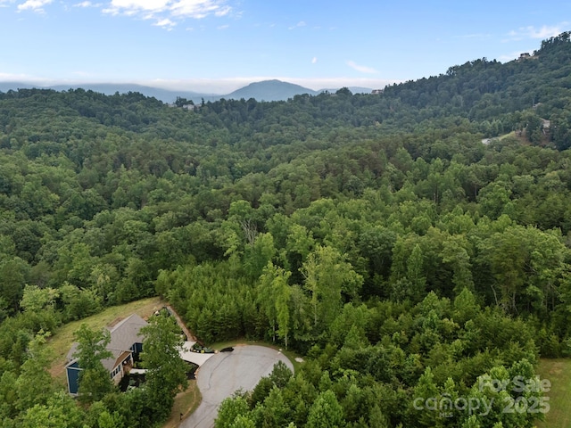 00000 Deer Jump Trl Unit 351, Lake Lure, NC 28746 - photo 7