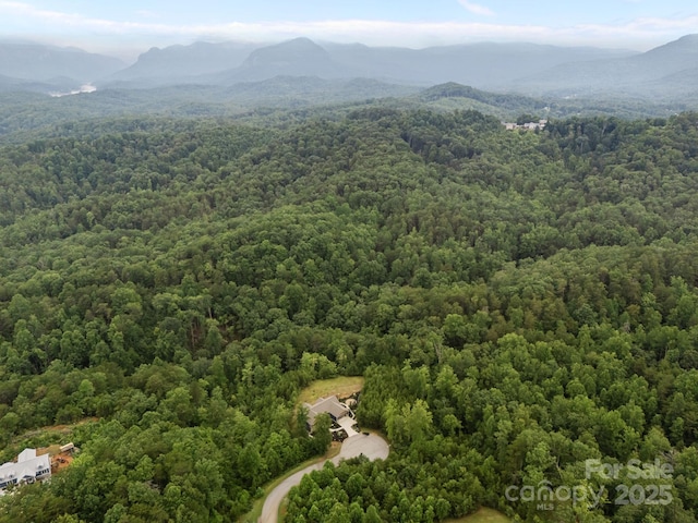00000 Deer Jump Trl Unit 351, Lake Lure, NC 28746 - photo 8