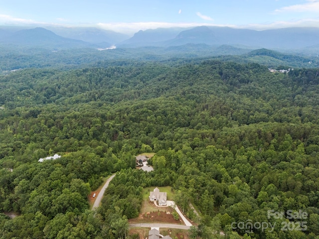00000 Deer Jump Trl Unit 351, Lake Lure, NC 28746 - photo 10