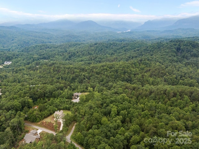 00000 Deer Jump Trl Unit 351, Lake Lure, NC 28746 - photo 11