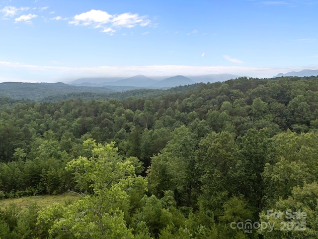 00000 Deer Jump Trl Unit 351, Lake Lure, NC 28746 - photo 17