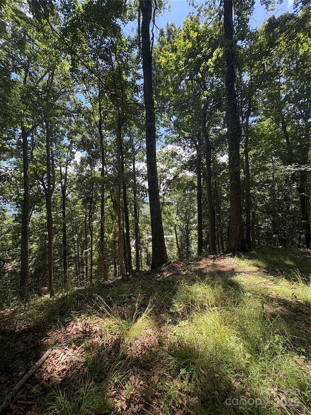 0000 Wheeler Hills Rd, Burnsville, NC 28787 - photo 6