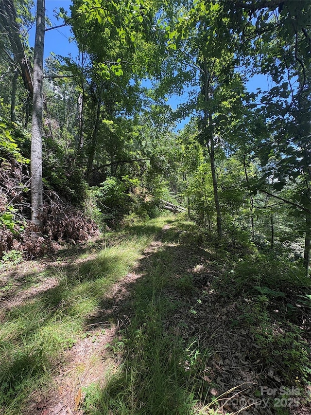 0000 Wheeler Hills Rd, Burnsville, NC 28787 - photo 7