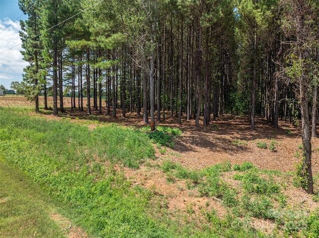 00 Hill Gates Trl Unit 32, Cherryville, NC 28021 - photo 1