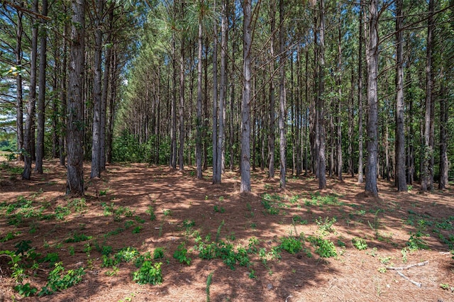 00 Hill Gates Trl Unit 32, Cherryville, NC 28021 - photo 3