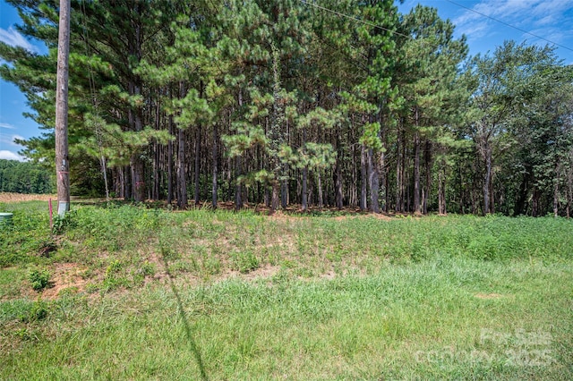 00 Hill Gates Trl Unit 32, Cherryville, NC 28021 - photo 5