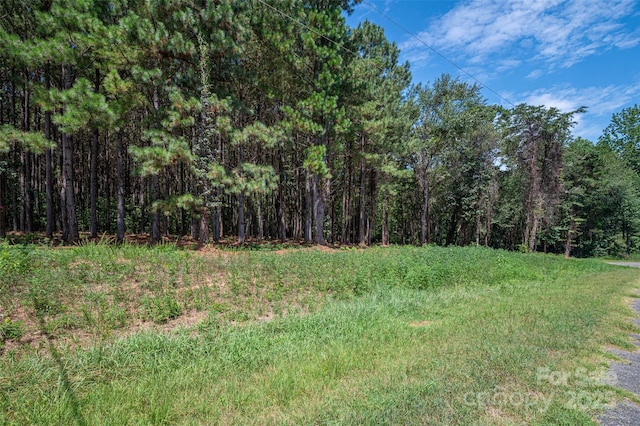 00 Hill Gates Trl Unit 32, Cherryville, NC 28021 - photo 7