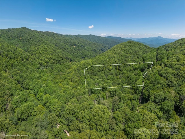 LOTB10 Rockmont Rd, Waynesville, NC 28785 - photo 1