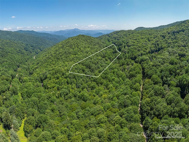 LOTB10 Rockmont Rd, Waynesville, NC 28785 - photo 2
