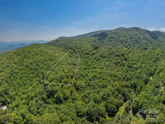 LOTB10 Rockmont Rd, Waynesville, NC 28785 - photo 3