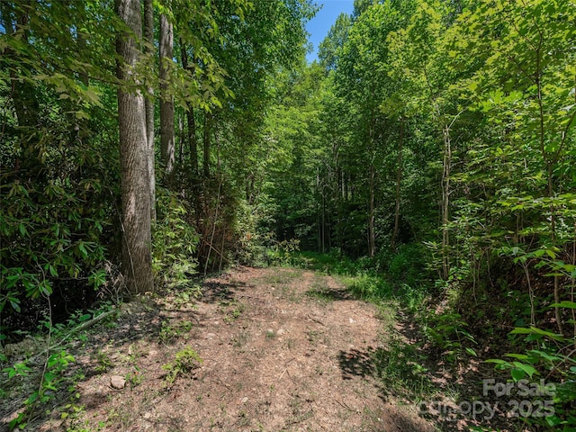 LOTB10 Rockmont Rd, Waynesville, NC 28785 - photo 4