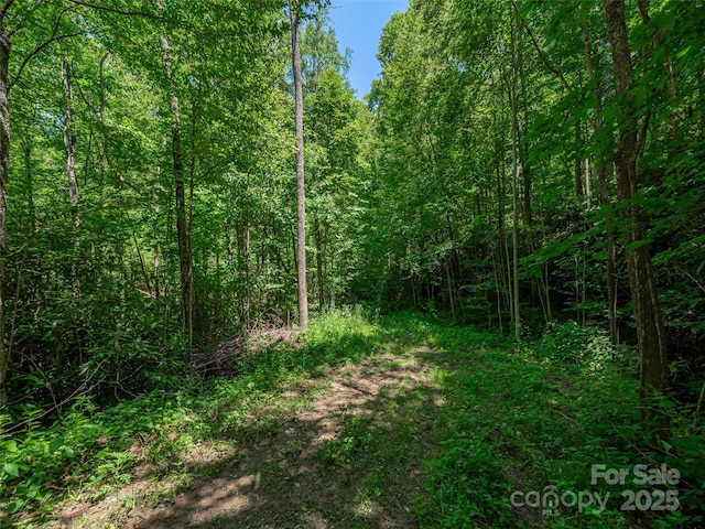 LOTB10 Rockmont Rd, Waynesville, NC 28785 - photo 5