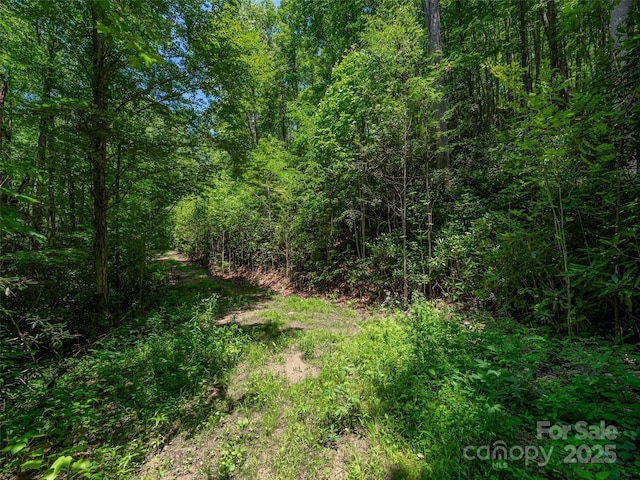 LOTB10 Rockmont Rd, Waynesville, NC 28785 - photo 6