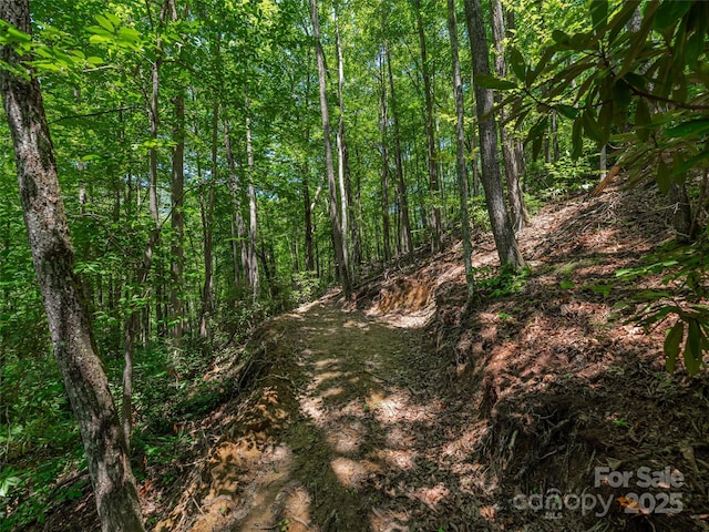 LOTB10 Rockmont Rd, Waynesville, NC 28785 - photo 8
