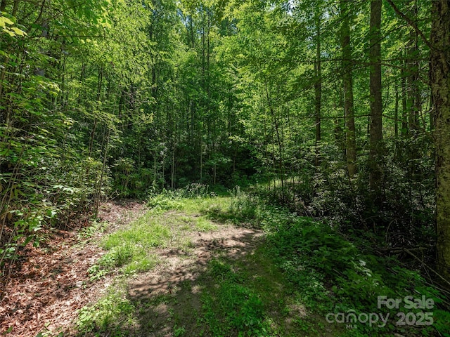 LOTB10 Rockmont Rd, Waynesville, NC 28785 - photo 9