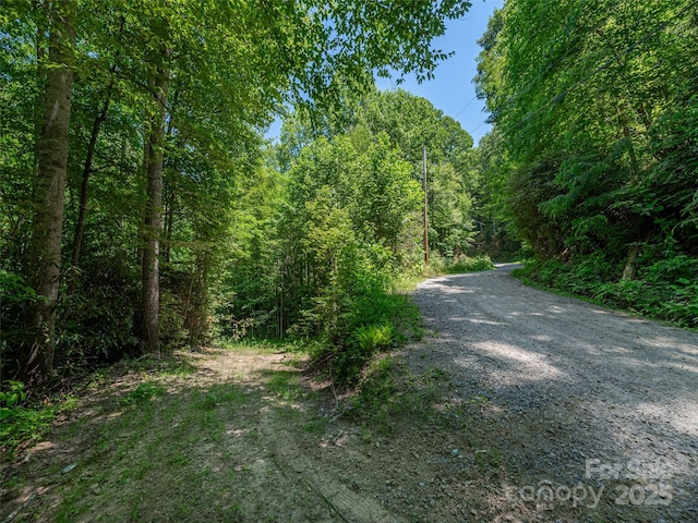 LOTB10 Rockmont Rd, Waynesville, NC 28785 - photo 10