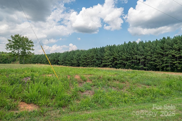 00 Hill Gates Trl Unit 34, Cherryville, NC 28021 - photo 2