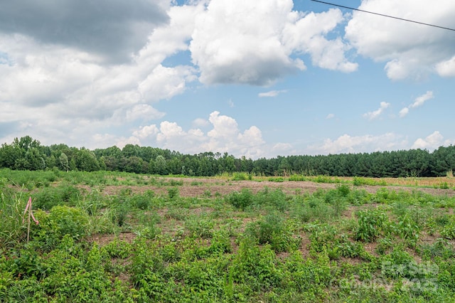 00 Hill Gates Trl Unit 37, Cherryville, NC 28021 - photo 2
