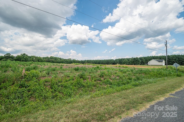 00 Hill Gates Trl Unit 37, Cherryville, NC 28021 - photo 4