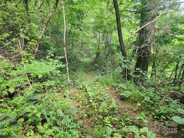 400 Bull Creek Rd, Mars Hill, NC 28754 - photo 29