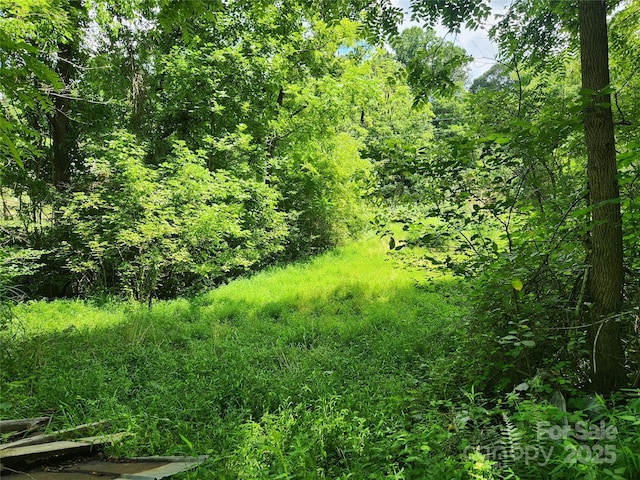 400 Bull Creek Rd, Mars Hill, NC 28754 - photo 31