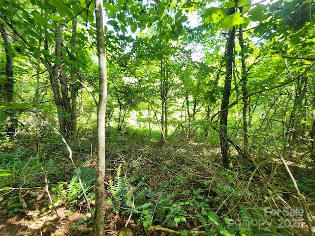 400 Bull Creek Rd, Mars Hill, NC 28754 - photo 32