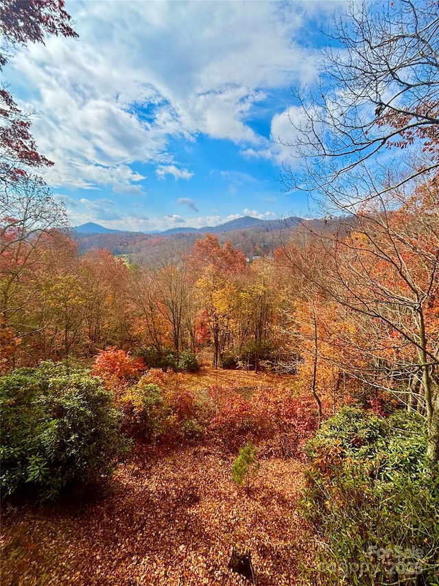 620 Glenview Rd, Newland, NC 28657 - photo 43