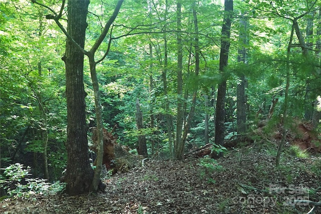 0 Parkway N Unit 13, Mill Spring, NC 28756 - photo 2