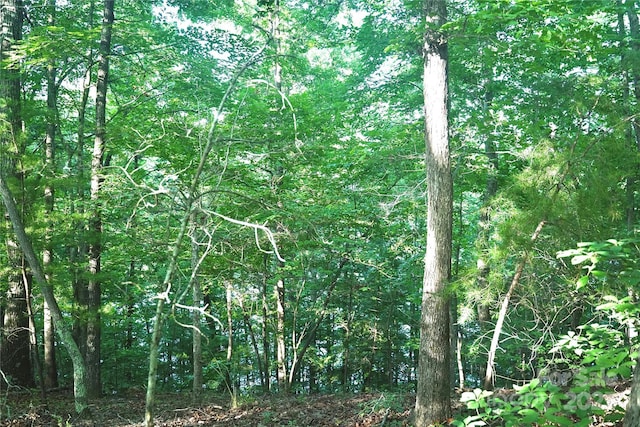 0 Parkway N Unit 13, Mill Spring, NC 28756 - photo 3