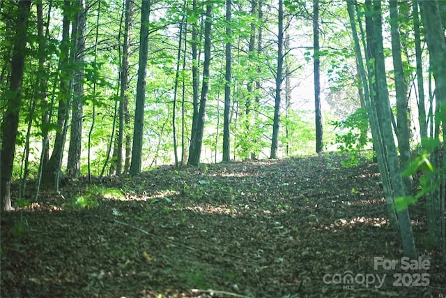 0 Parkway N Unit 13, Mill Spring, NC 28756 - photo 6