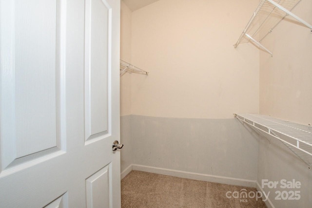 17151 Doe Valley Ct, Cornelius, NC 28031 - photo 15