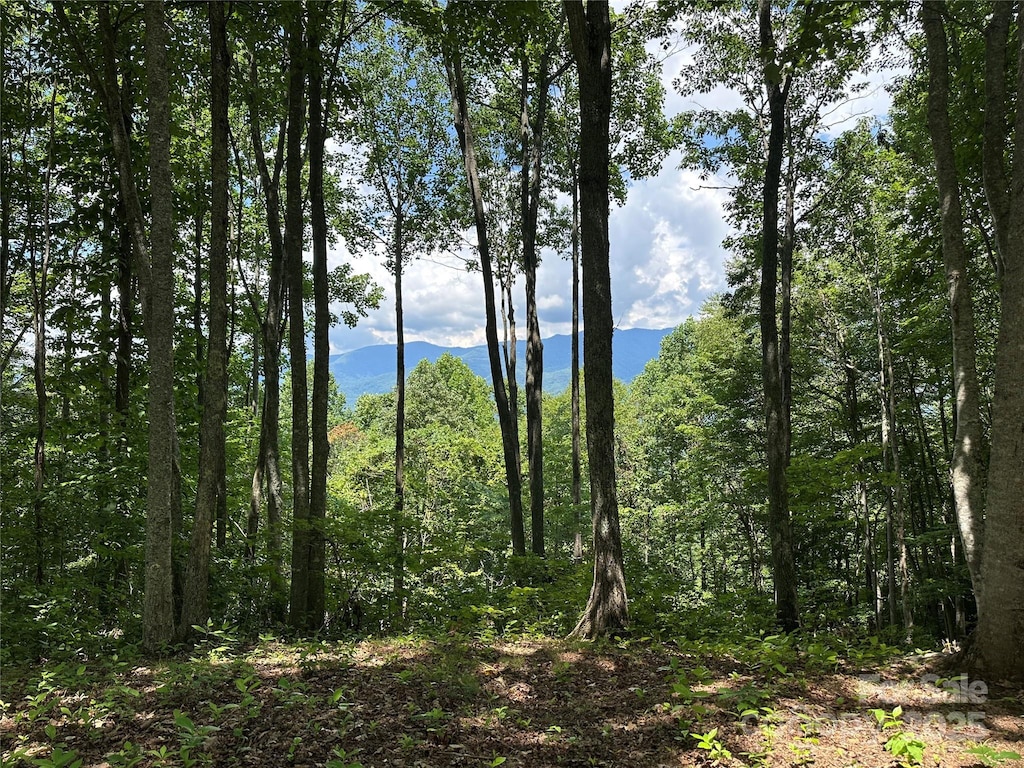 402 High Line Rd, Sylva, NC 28779 - photo 1