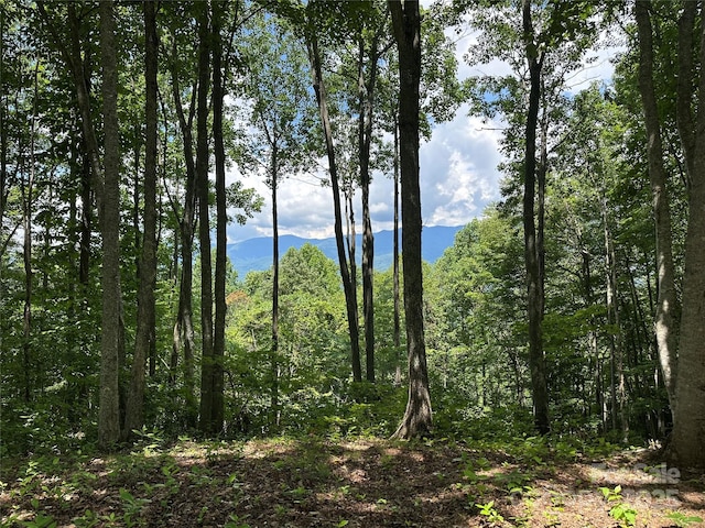 402 High Line Rd, Sylva, NC 28779 - photo 1