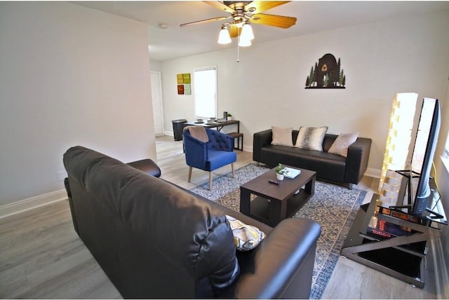 4101 Atmore St, Charlotte, NC 28205 - photo 3