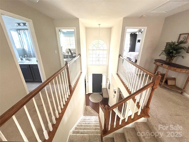 16123 Falling Meadows Ln, Charlotte, NC 28273 - photo 3