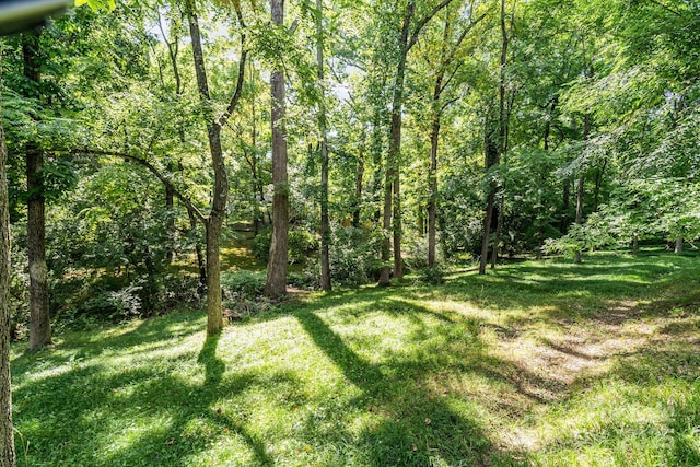 681 Pine Bluff Cir, Kannapolis, NC 28081 - photo 24