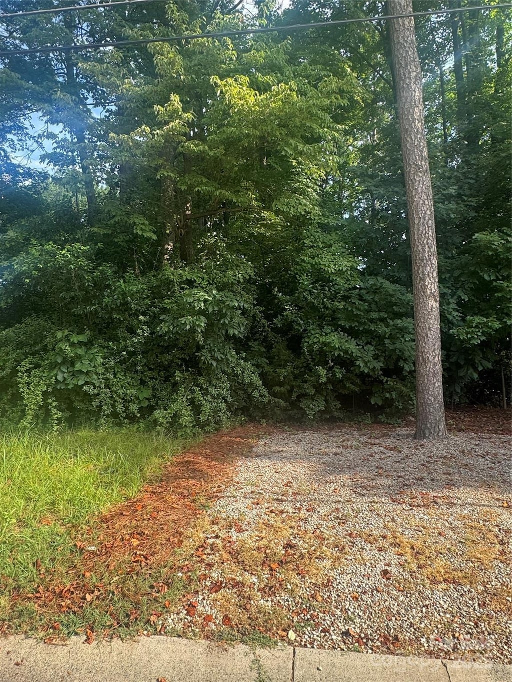 2026 Gilbert St, Charlotte, NC 28216 - photo 1