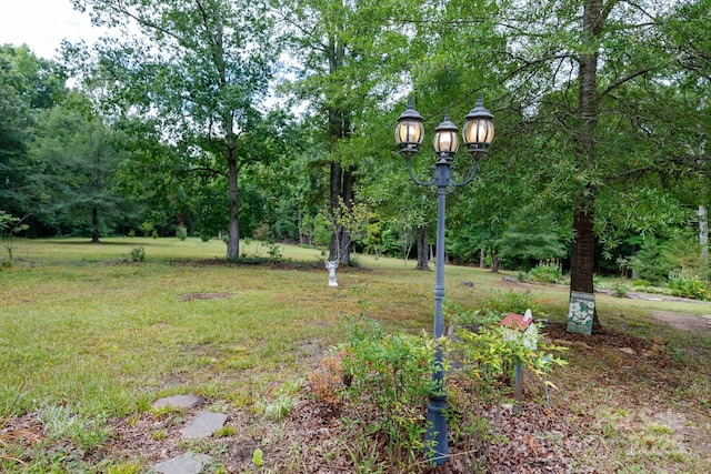 1063 Cornwell Rd, Chester, SC 29706 - photo 23