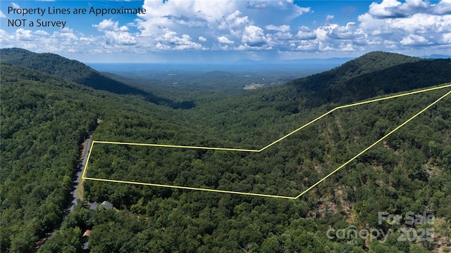 LOT31 Mountain Lookout Dr, Bostic, NC 28018 - photo 2