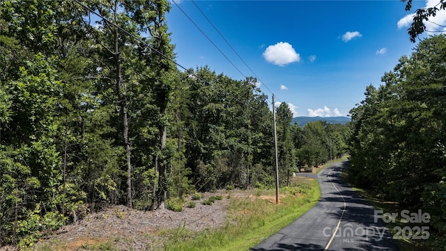 LOT31 Mountain Lookout Dr, Bostic, NC 28018 - photo 4