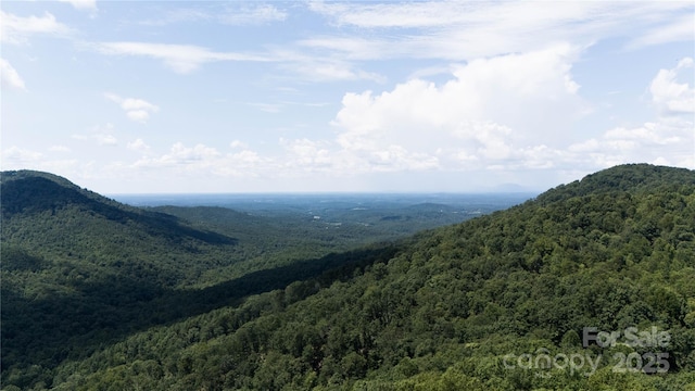 LOT31 Mountain Lookout Dr, Bostic, NC 28018 - photo 6