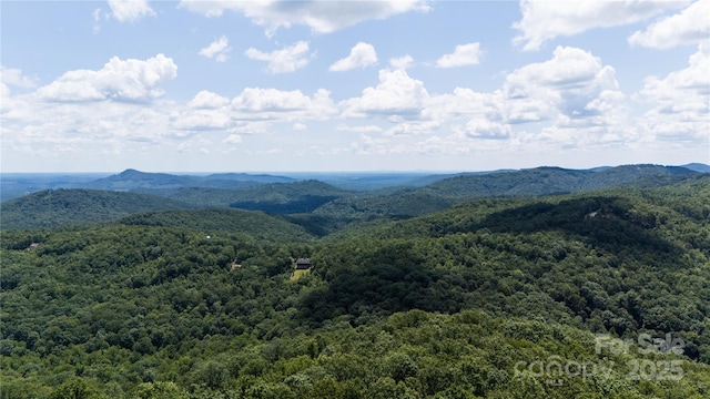 LOT31 Mountain Lookout Dr, Bostic, NC 28018 - photo 7