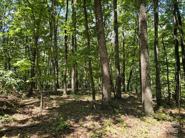 LOT31 Mountain Lookout Dr, Bostic, NC 28018 - photo 8