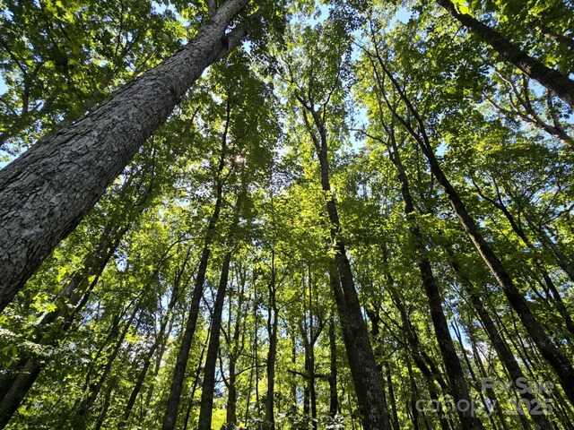 LOT31 Mountain Lookout Dr, Bostic, NC 28018 - photo 9