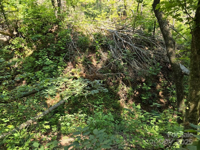 LOT31 Mountain Lookout Dr, Bostic, NC 28018 - photo 12