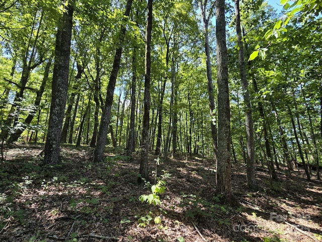LOT31 Mountain Lookout Dr, Bostic, NC 28018 - photo 13