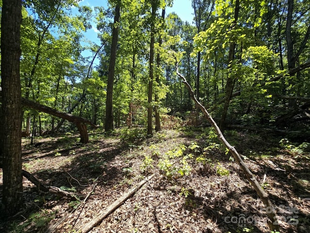 LOT31 Mountain Lookout Dr, Bostic, NC 28018 - photo 14