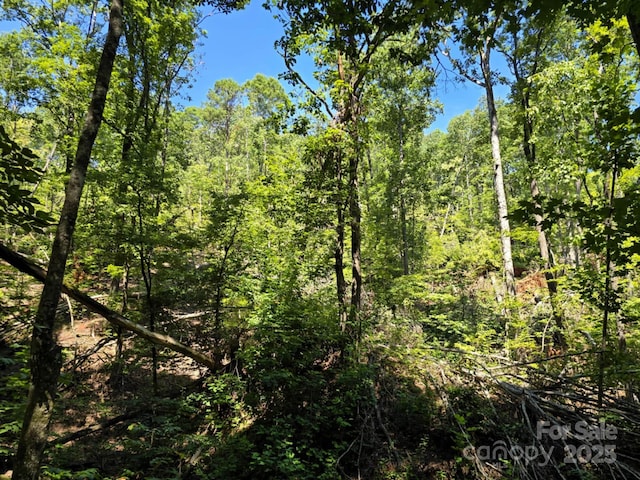 LOT31 Mountain Lookout Dr, Bostic, NC 28018 - photo 15